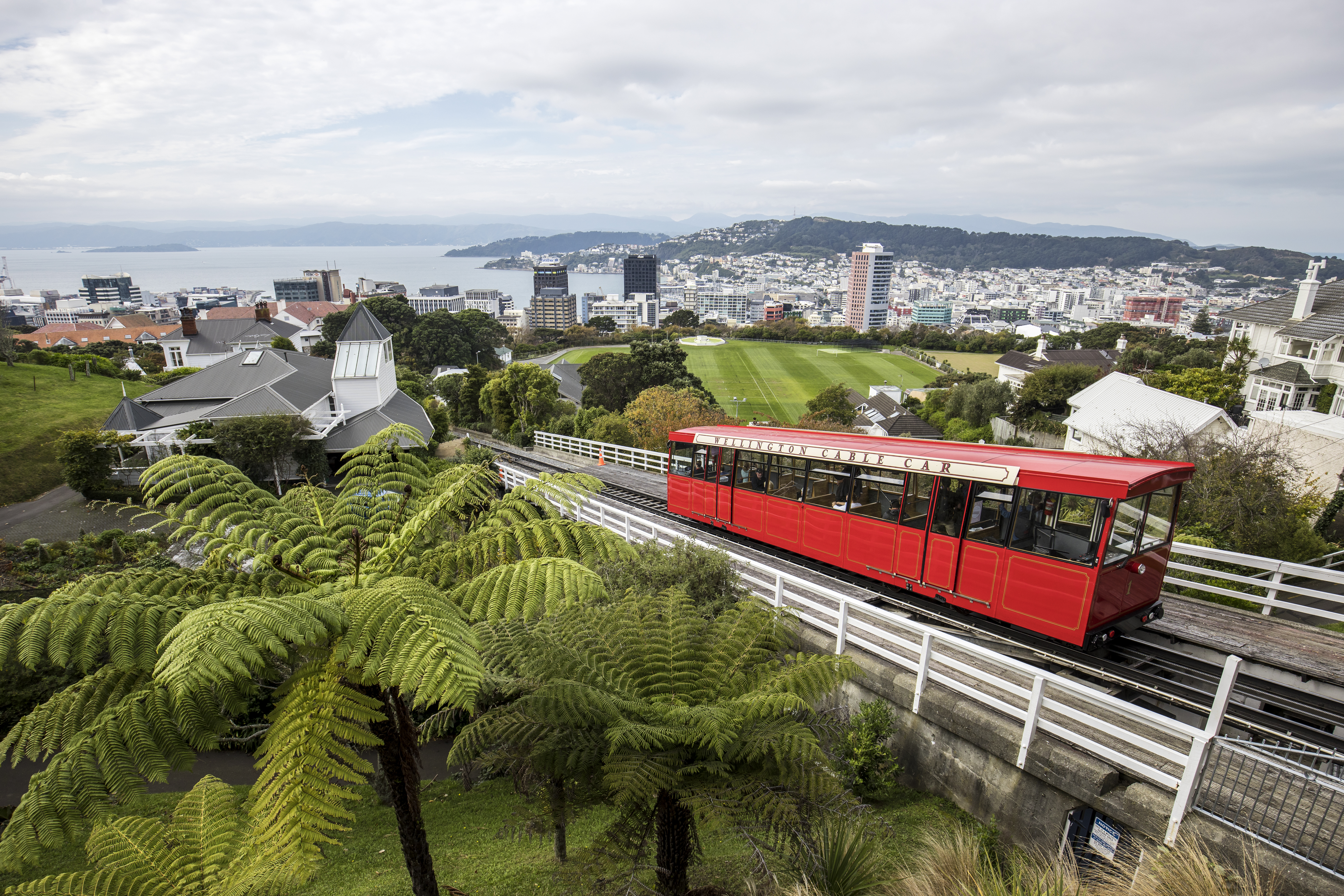 Wellington